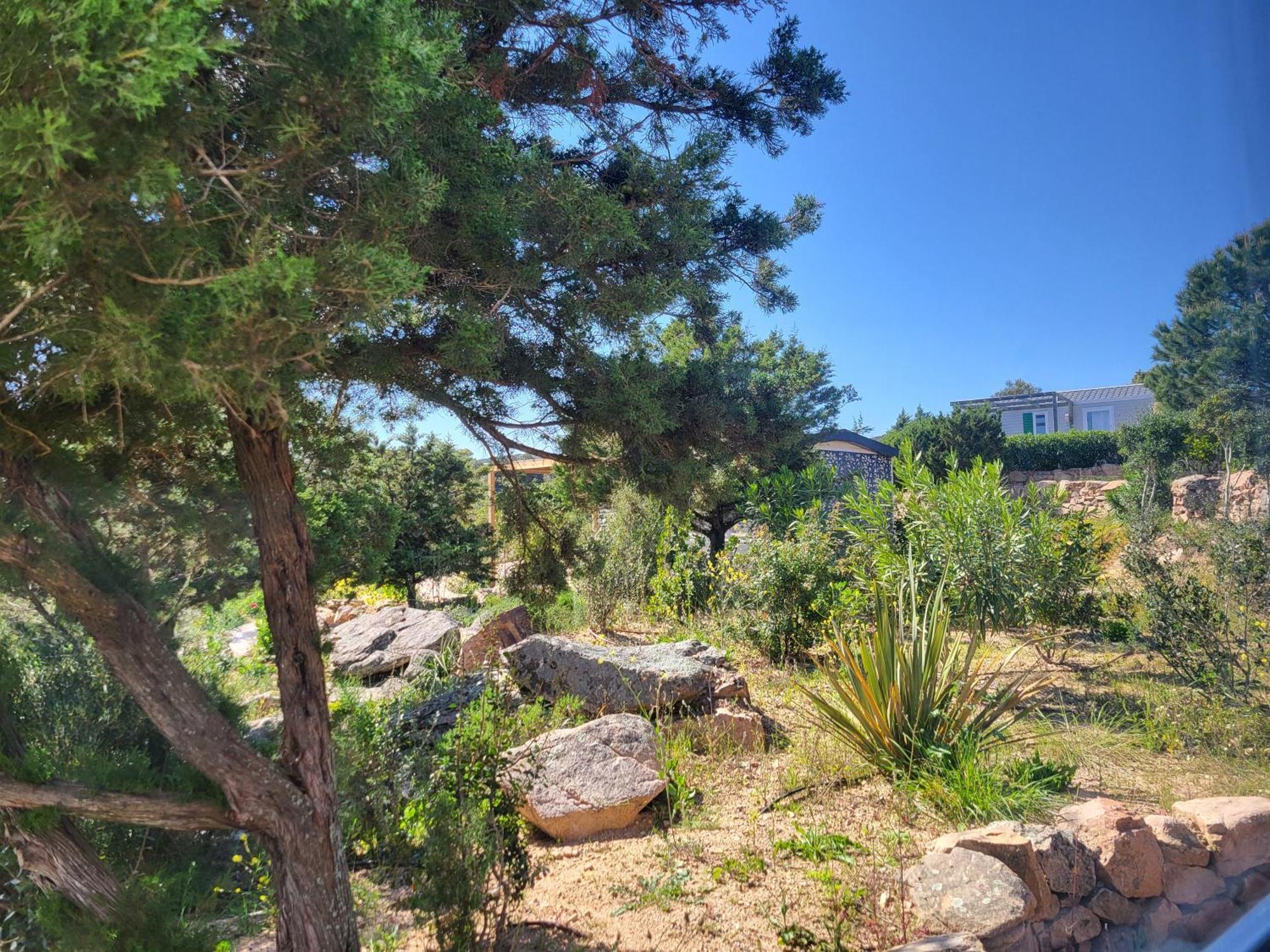 Camping Rondinara Bonifacio  Dış mekan fotoğraf